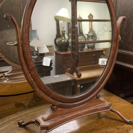 Toilet Swing Mirror