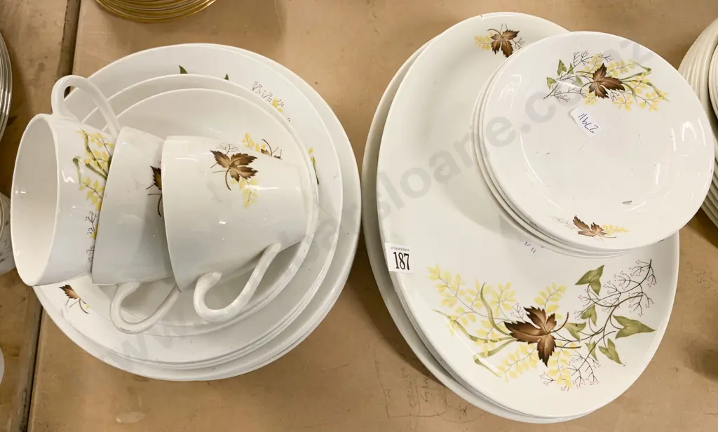 Crown Lynn "Autumn Splendour" Part Dinner Set (35 Pieces) Image 1++