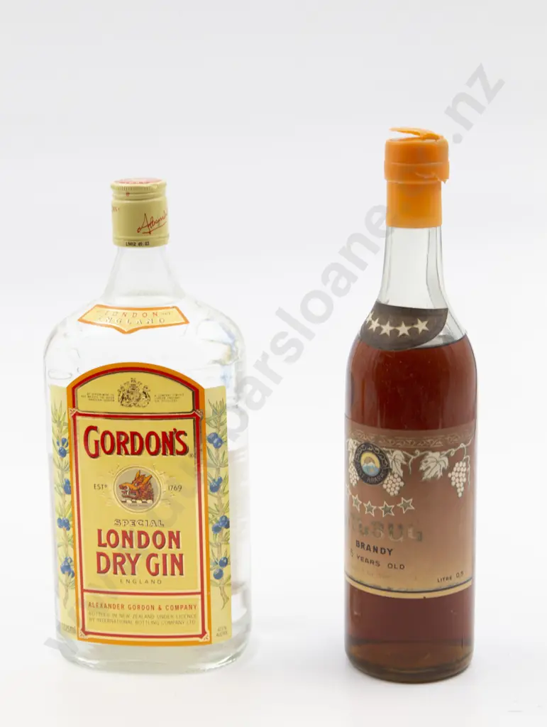 Bottle of Gin Together With Bottle of Brandy Image 1++
