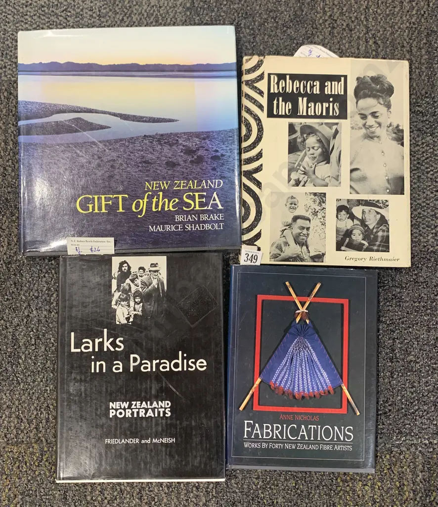 Four Books on NZ Photography and Art Image 1++
