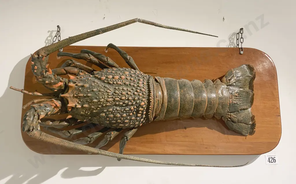 Mounted Taxidermy Lobster Image 1++