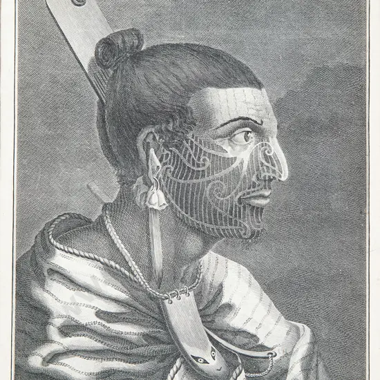 Sydney Parkinson Engraving Tete dun Guerrier de La Nouvelle Zelande