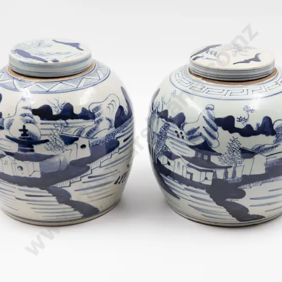 A pair of Decorative 19th century Chinese Ginger Jars