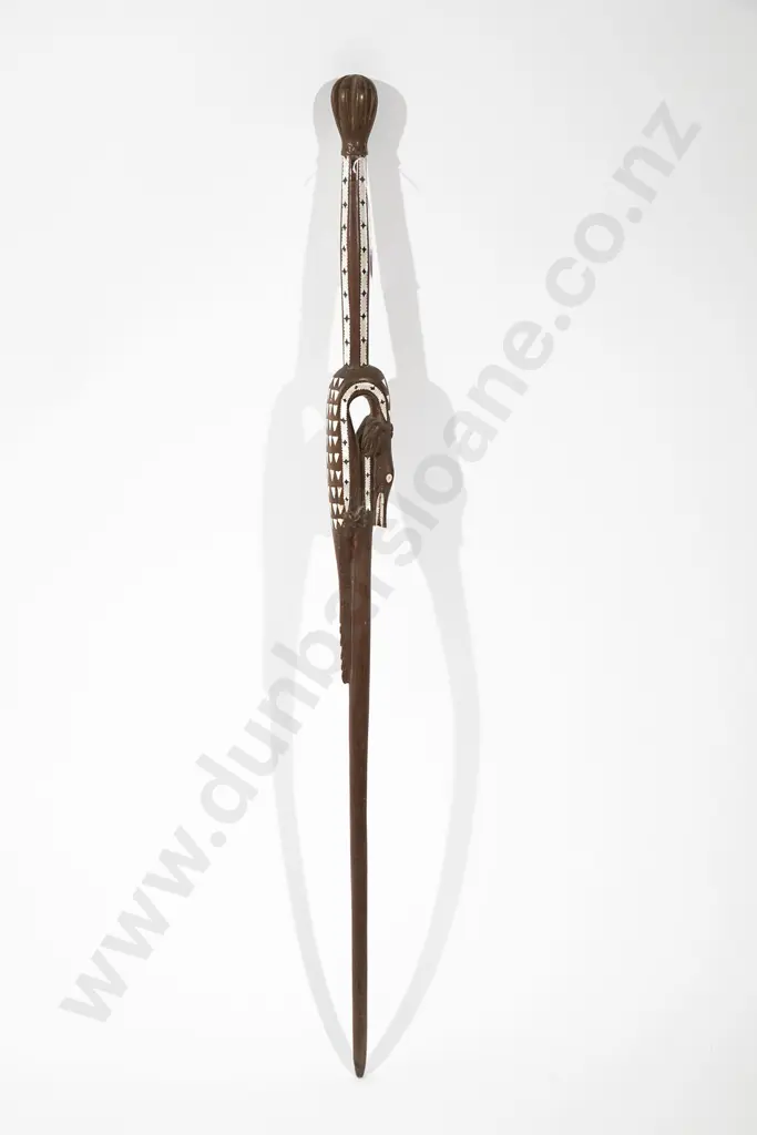Soloman Islands walking stick Image 1++