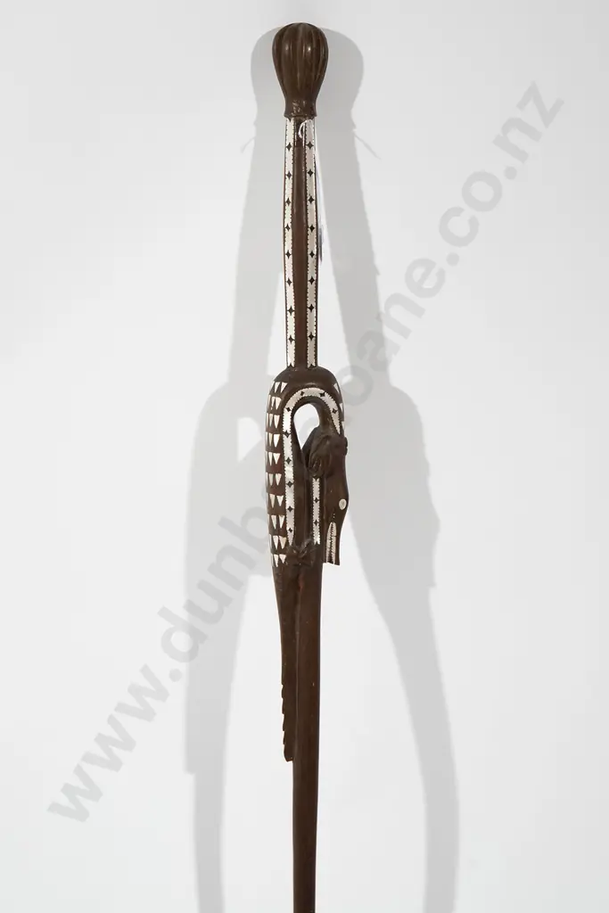 Soloman Islands walking stick Image 1++