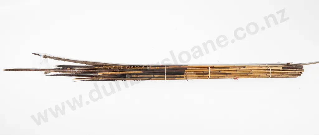 Large group of Papua New Guinea Arrows and spears and two bows Image 1++