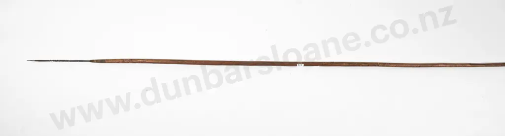 Melanesian Spear Image 1++