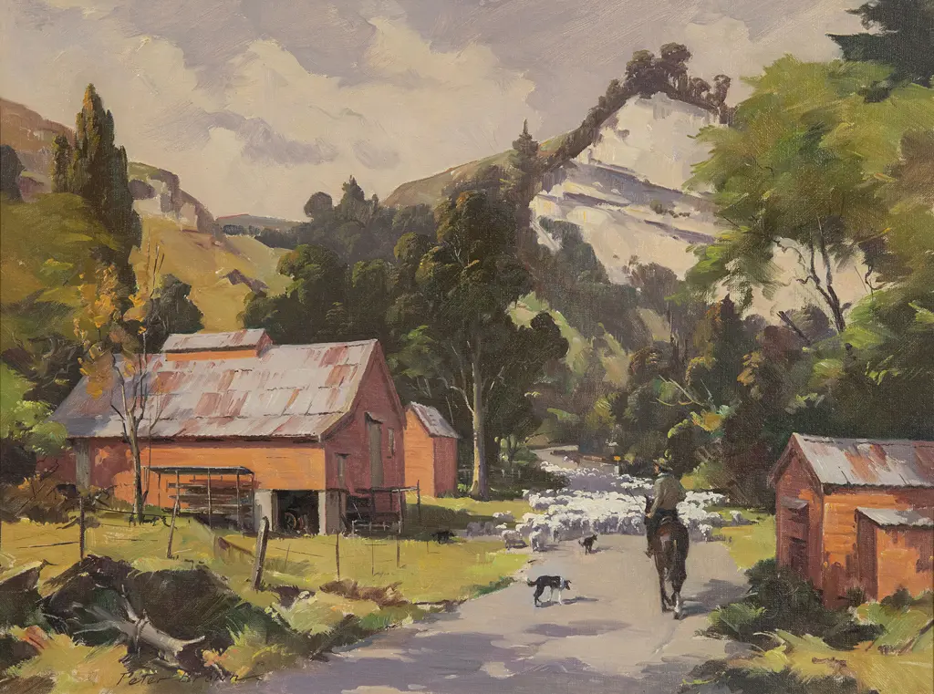 Peter Brown - Sheep Droving near Gisborne Image 1++