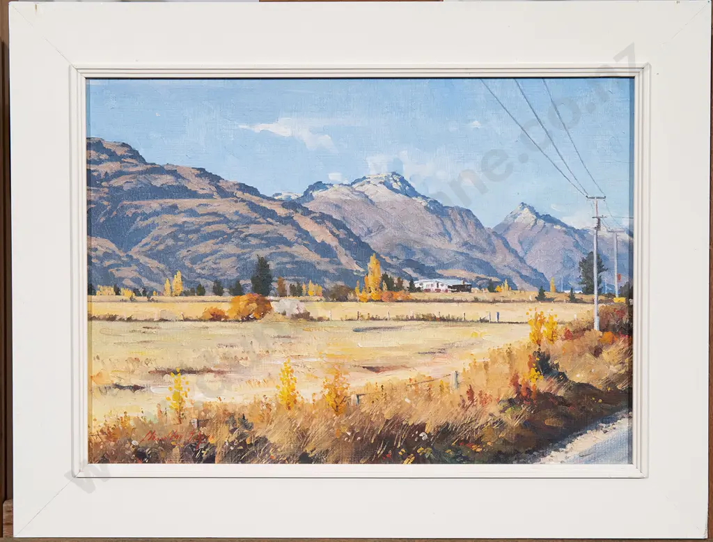 Charlton Edgar - Frankton Landscape Image 1++