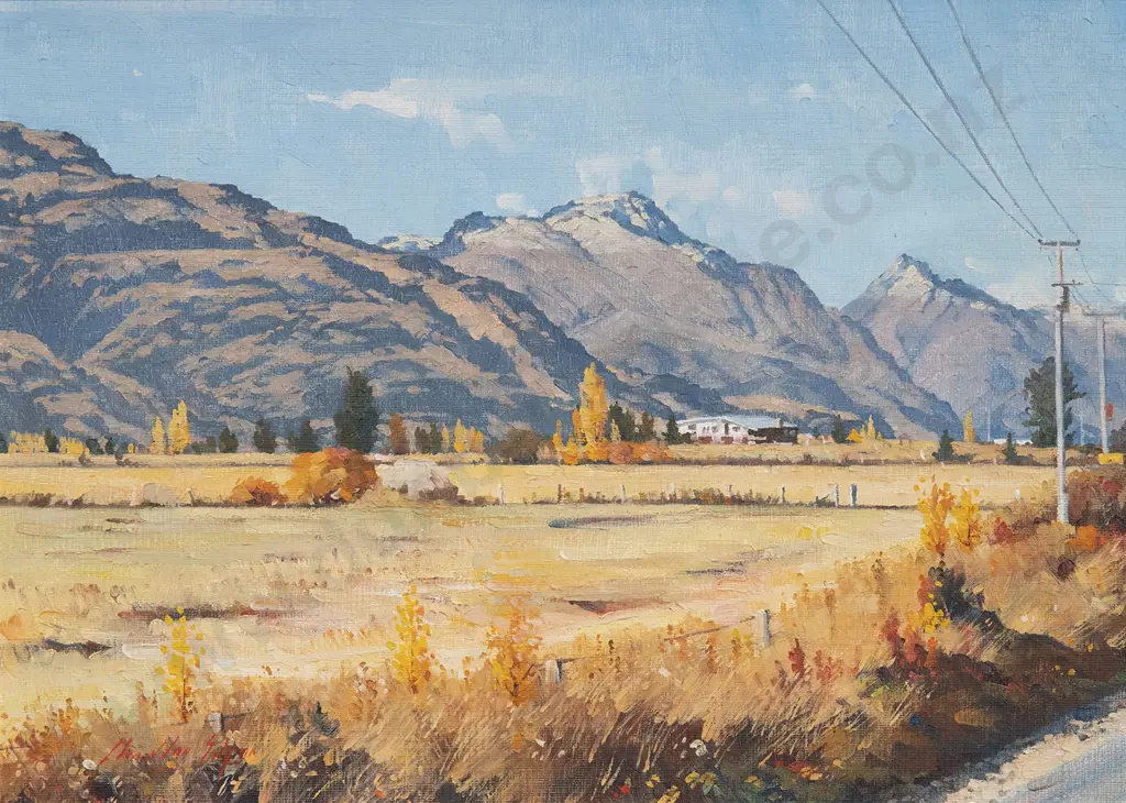 Charlton Edgar - Frankton Landscape Image 1++
