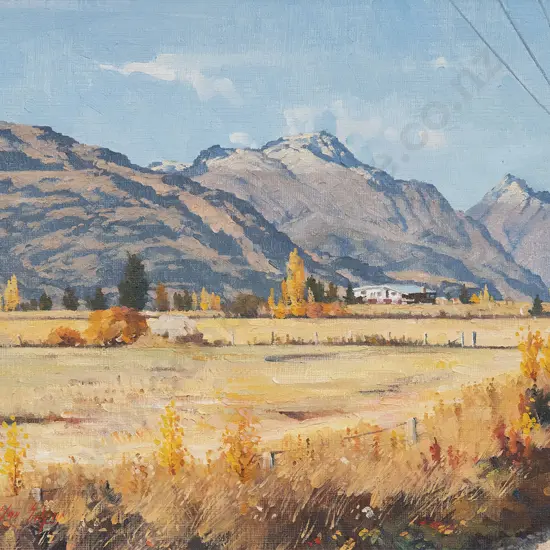 Charlton Edgar - Frankton Landscape