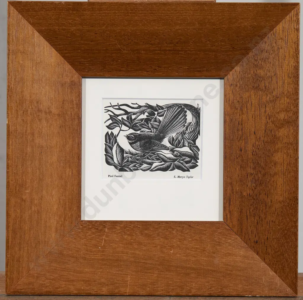 E. Mervyn Taylor - Pied Fantail Image 1++