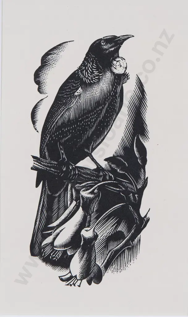 E. Mervyn Taylor - Tui Image 1++