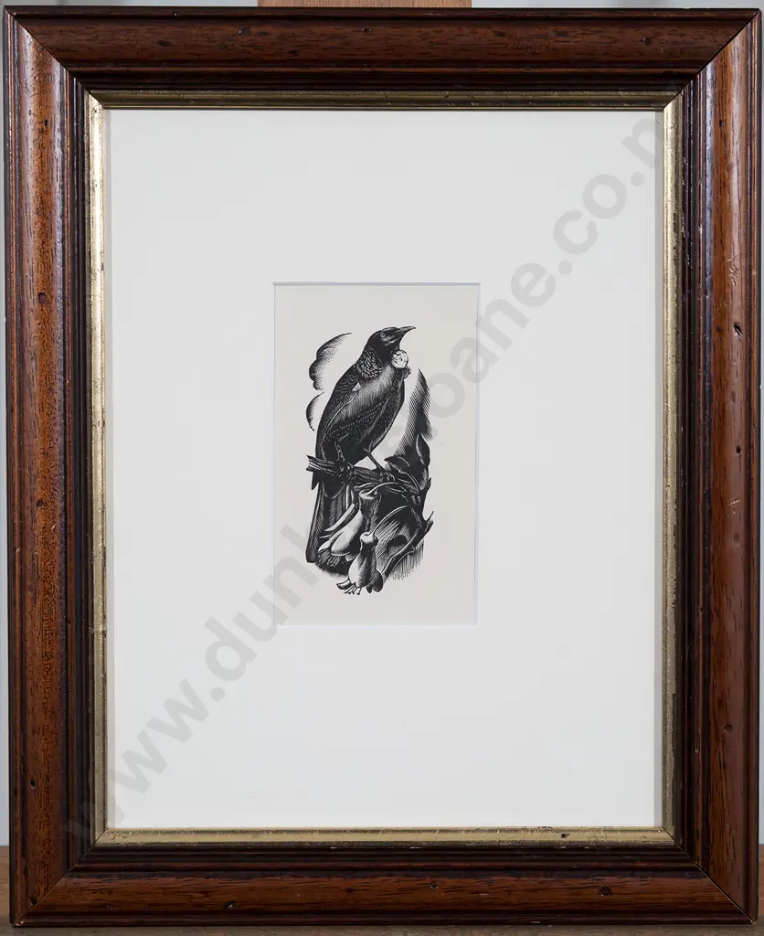 E. Mervyn Taylor - Tui Image 1++