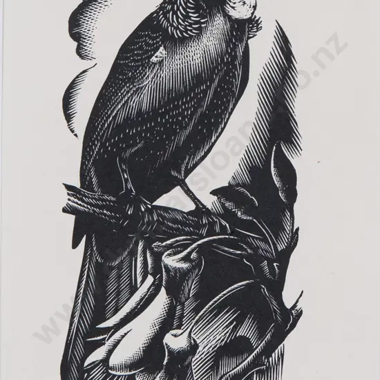 E. Mervyn Taylor - Tui
