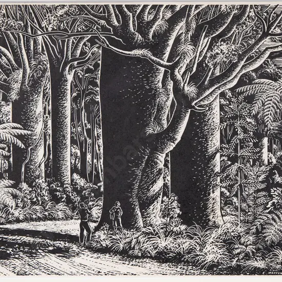 E. Mervyn Taylor - Kings of the Forest