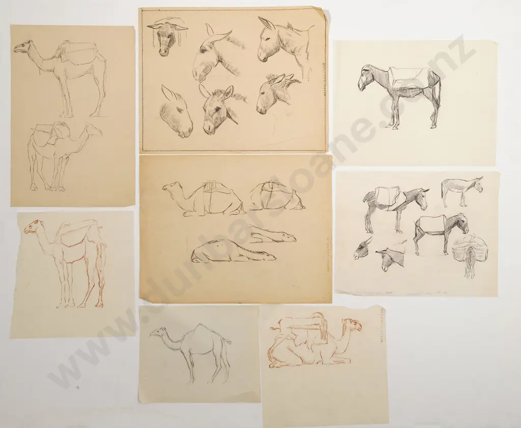 John Weeks - Collection of Mule & Camel Studies (8) Image 1++