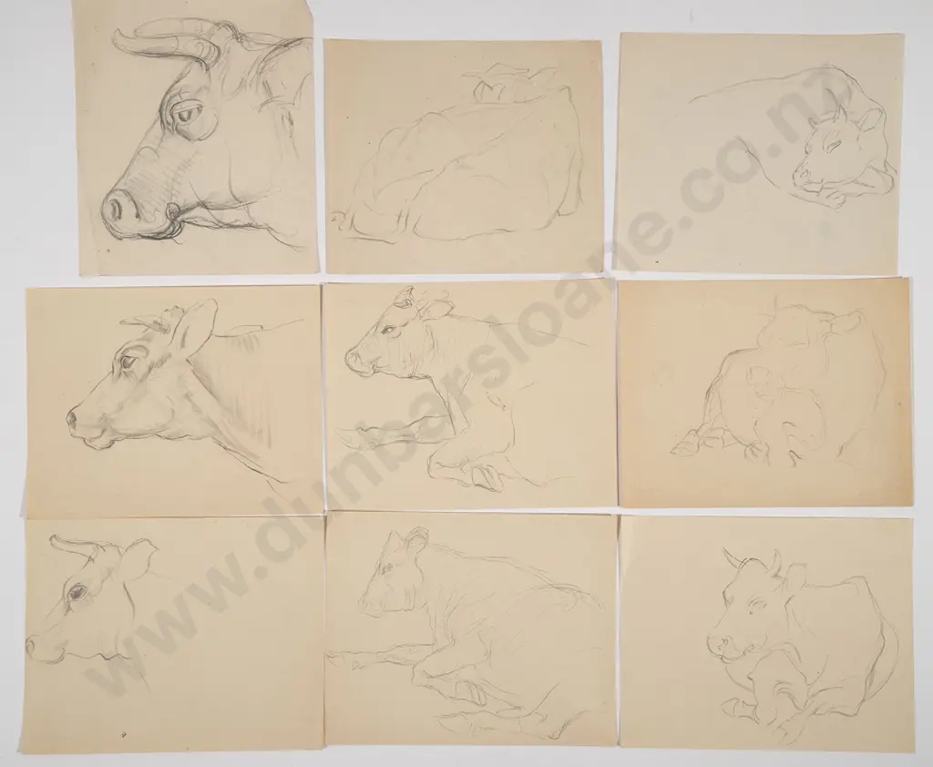 John Weeks - Collection of Cattle Studies (16) Image 1++