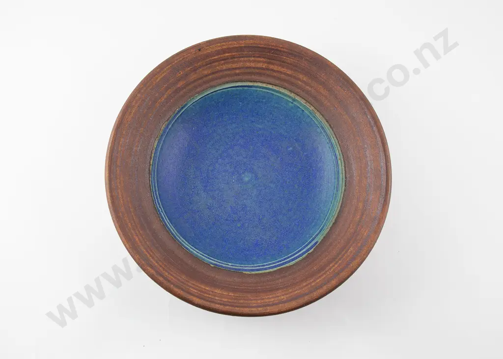 Ray Rogers Dish Image 1++