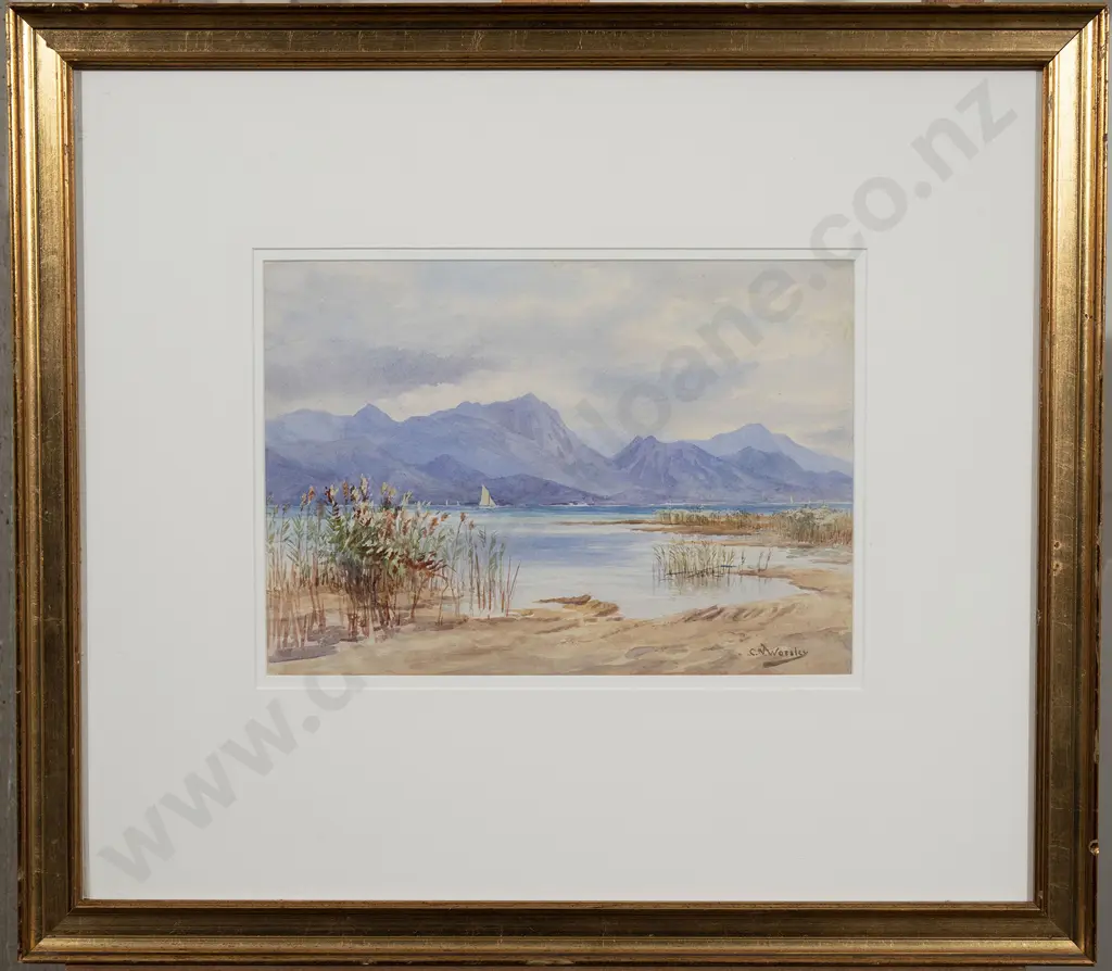 C. N. Worsley - South Island Landscape Image 1++