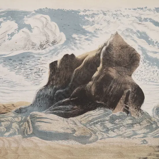 Stewart Maclennan - Rock Study Devon
