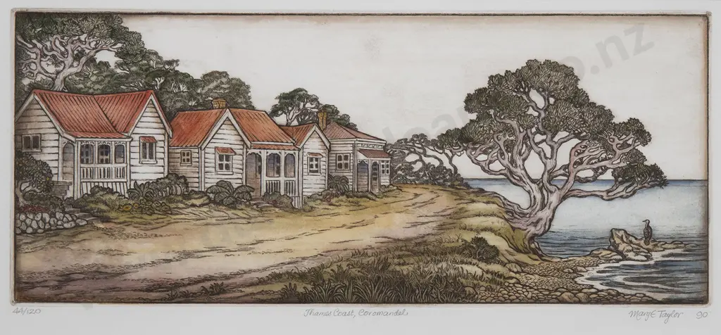 Mary E Taylor - Thames Coast Coromandel Image 1++