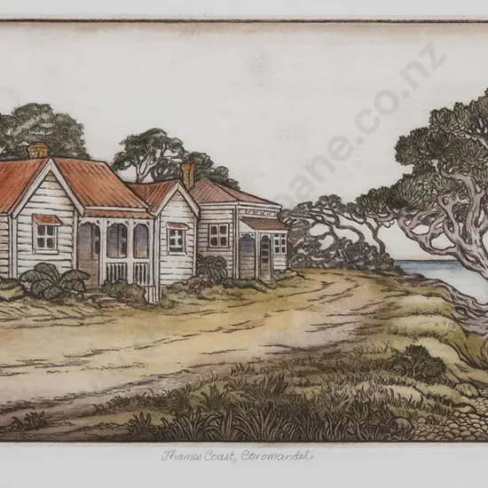 Mary E Taylor - Thames Coast Coromandel