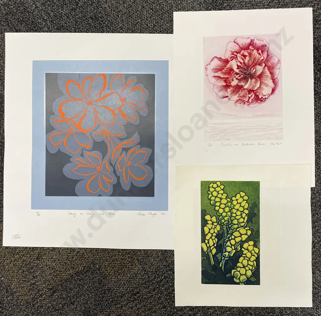 Joan Taylor - Three Unframed prints Image 1++