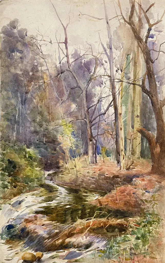 Mabel Hill - Bush Stream Image 1++