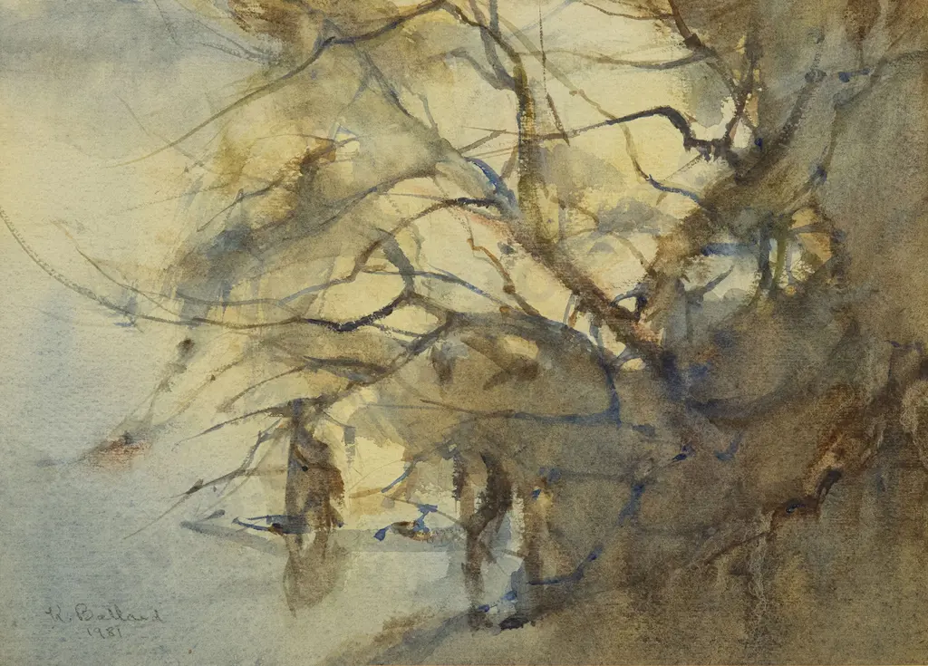 Kathlyn Ballard (Australian) - Branches Juglong Image 1++