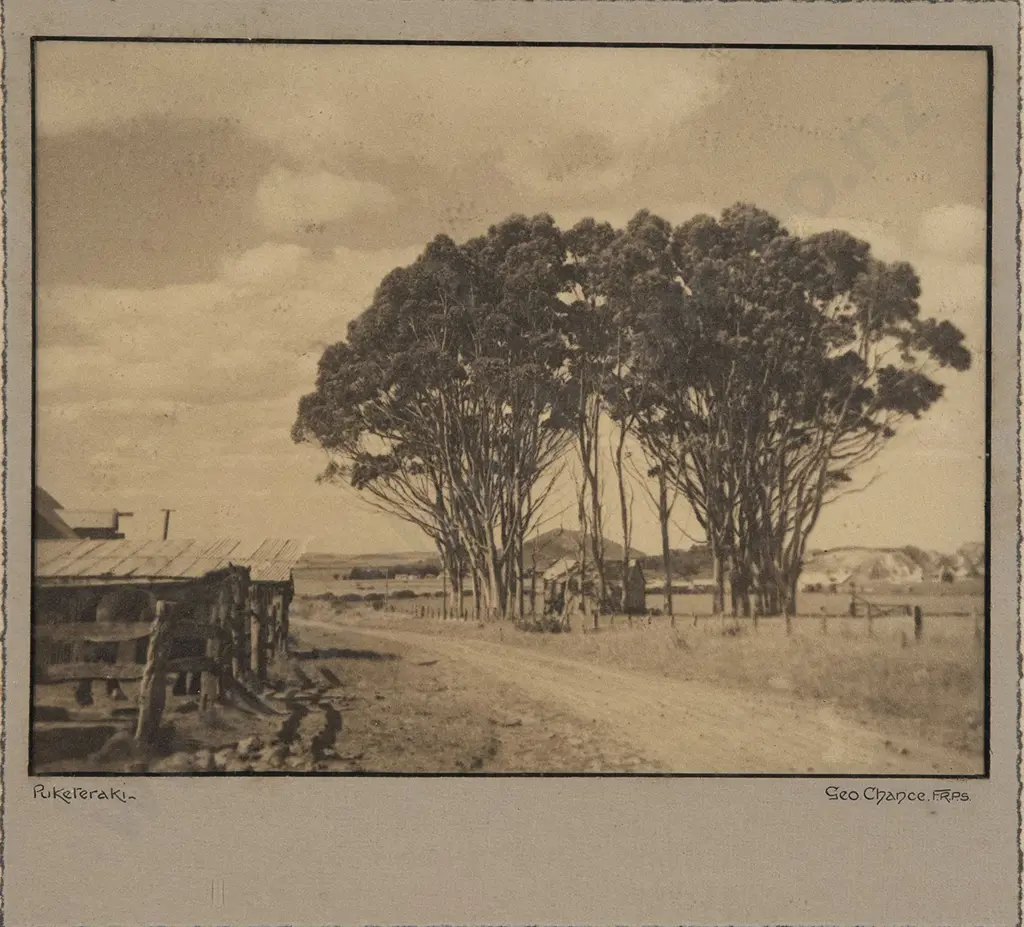 George Chance - Pukereraki Image 1++