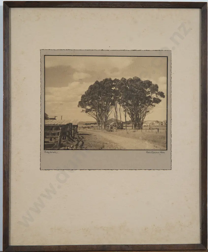 George Chance - Pukereraki Image 1++