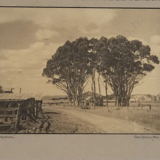 George Chance - Pukereraki