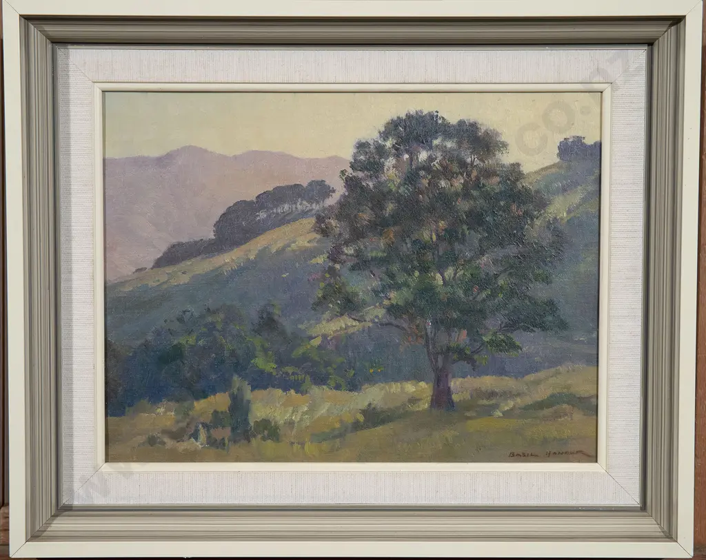 W Basil Honour - Towards Sundown near French Farm & Mt Erebus Lower Dart Valley Image 1++
