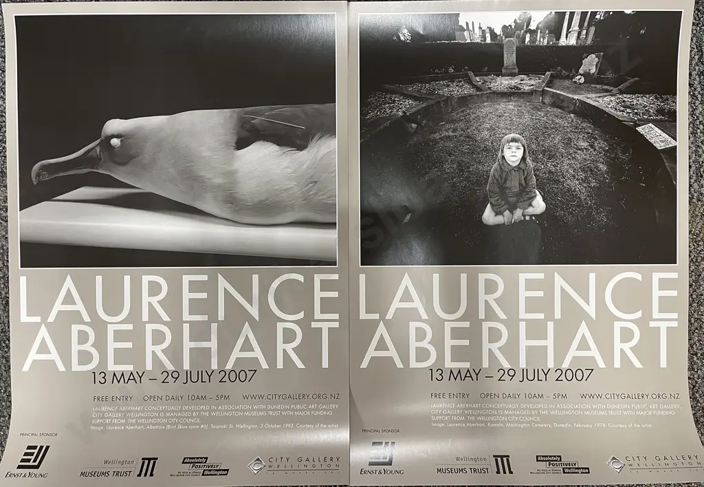 City Gallery Laurence Aberhart Exhibition Posters (2) Image 1++