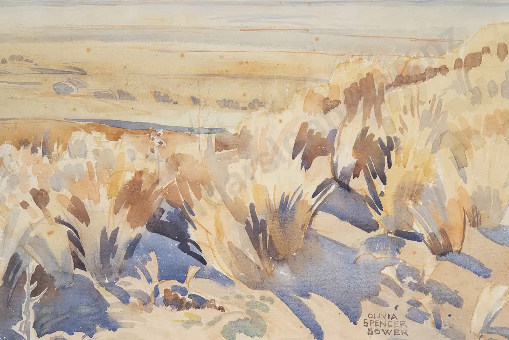 Olivia Spencer-Bower (1905-82) - Canterbury Plains Image 1++