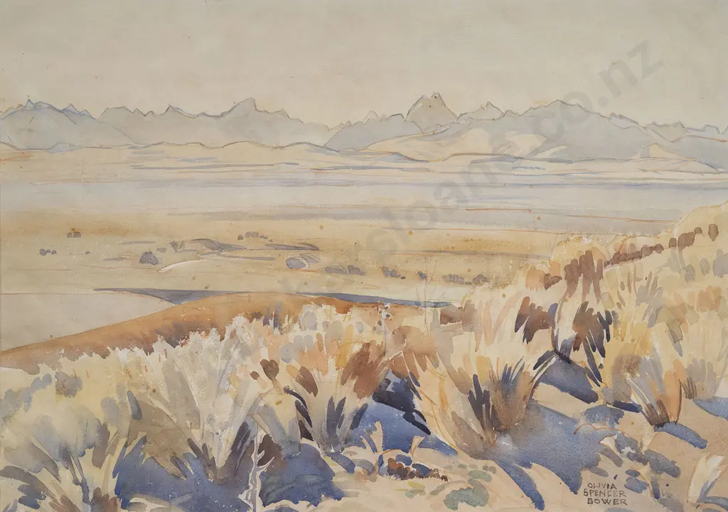 Olivia Spencer-Bower (1905-82) - Canterbury Plains Image 1++