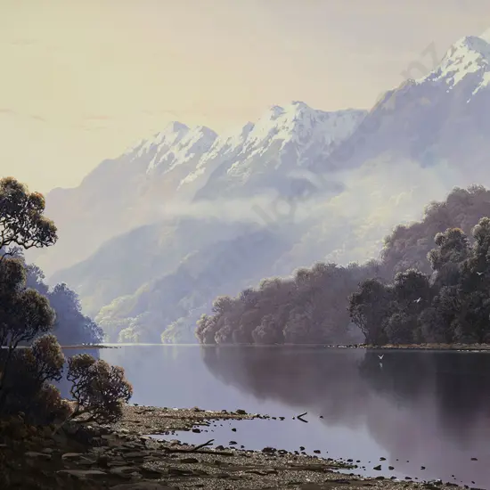 Tim Wilson (1954-2020) - Manapouri