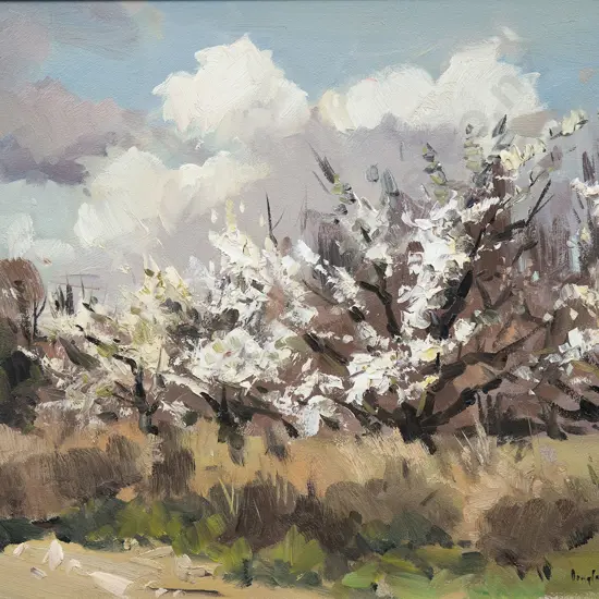 Douglas Badcock (1922 - 2009) - Orchard Blossom in Central Otago
