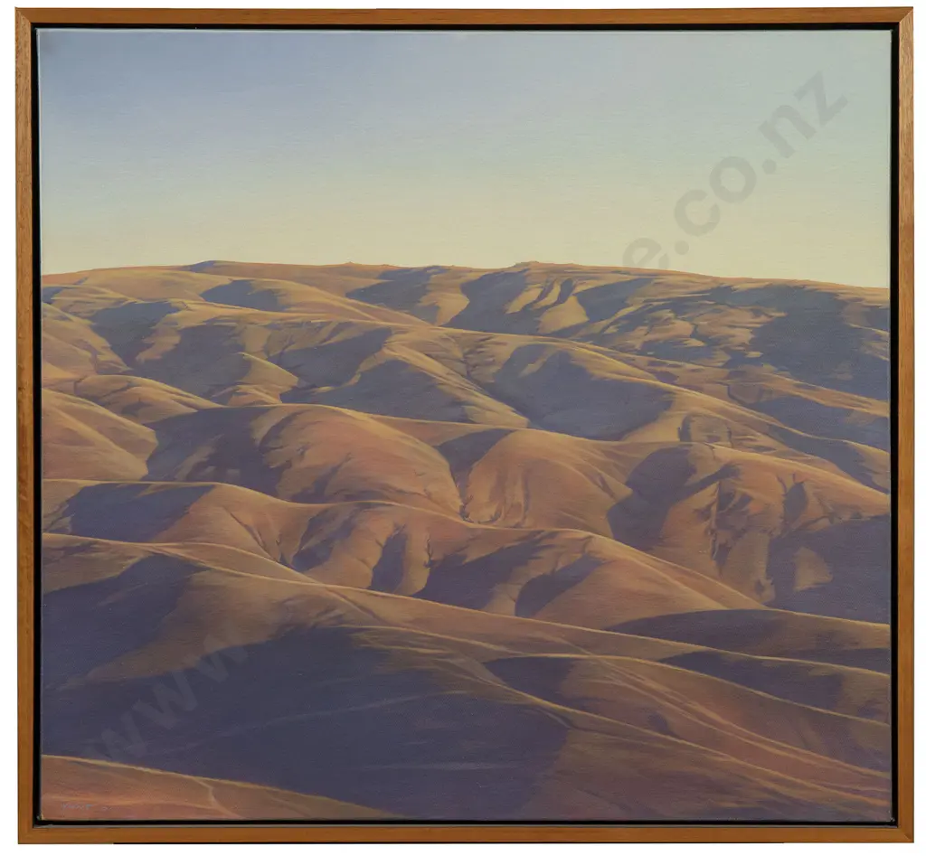 Bruce Hunt (b 1964) - Cluden Hills Image 1++