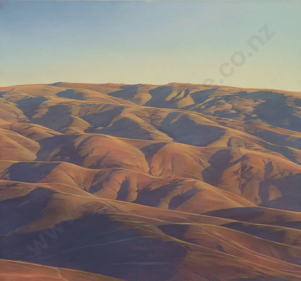 Bruce Hunt (b 1964) - Cluden Hills Image 1++