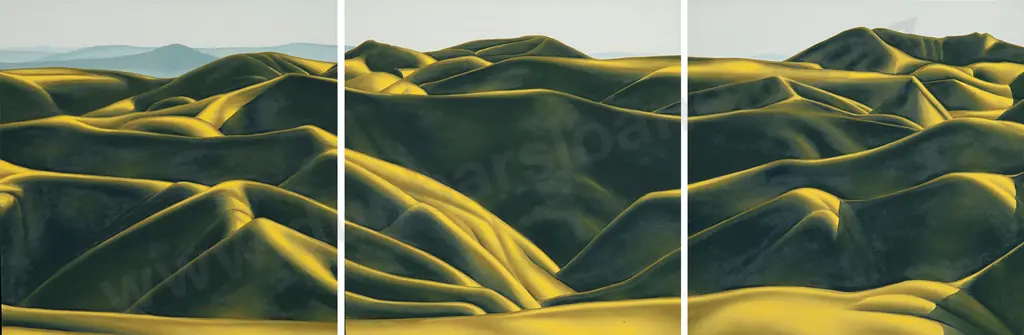 Dave Goodwin (b 1950) - Backblocks Jigsaw (Triptych) Image 1++