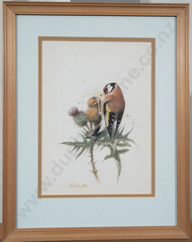 Phillip Waddington - Three Bird Studies Image 1++