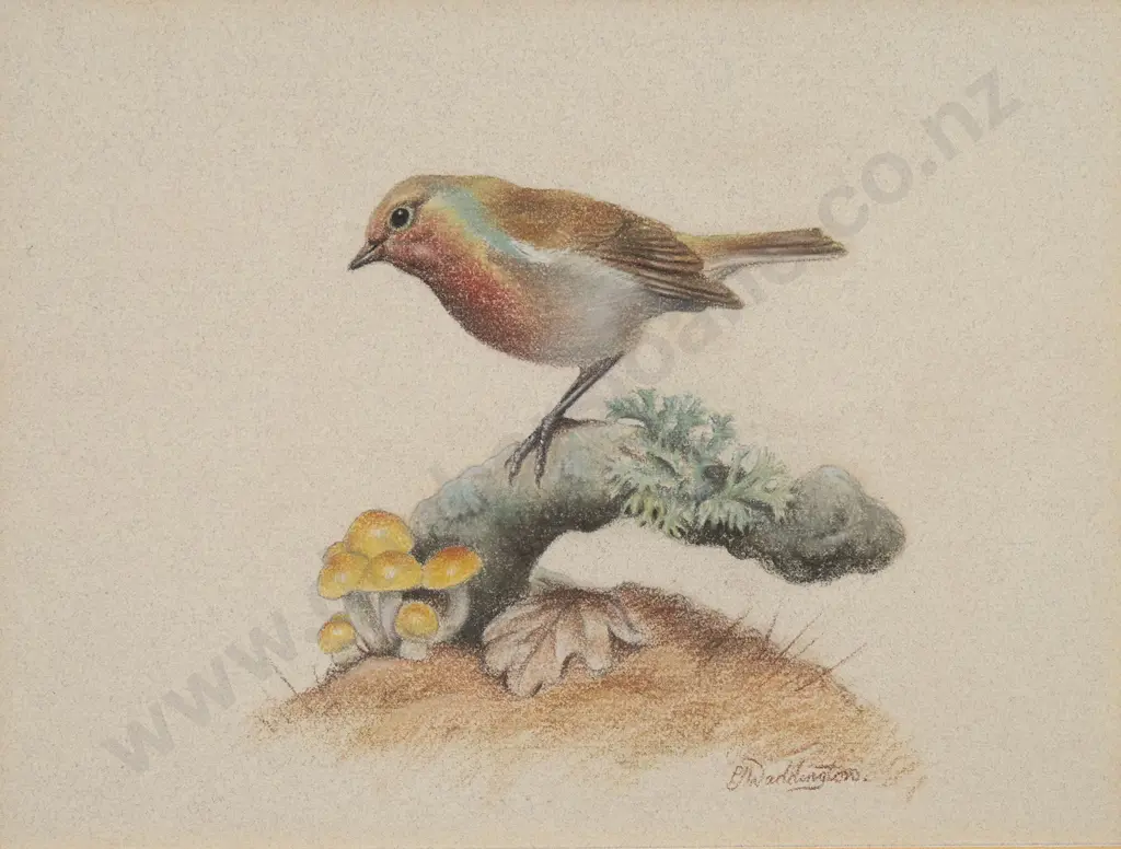 Phillip Waddington - Three Bird Studies Image 1++