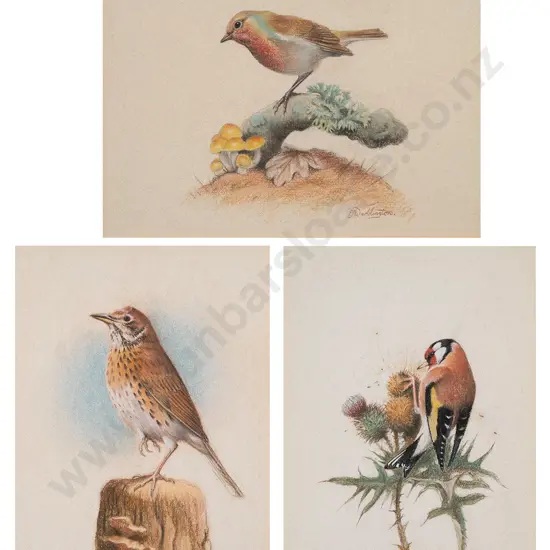 Phillip Waddington - Three Bird Studies