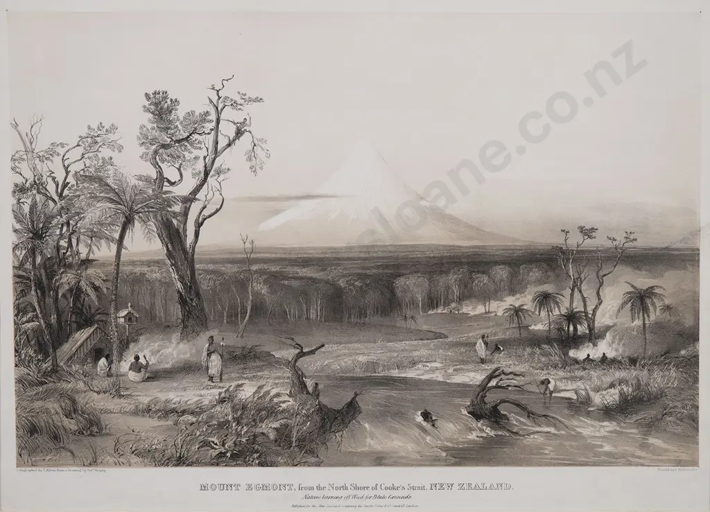 Charles Heaphy (1820 - 1881) - Mount Egmont from the North Shore of Cooke's Straight New Zealand Image 1++