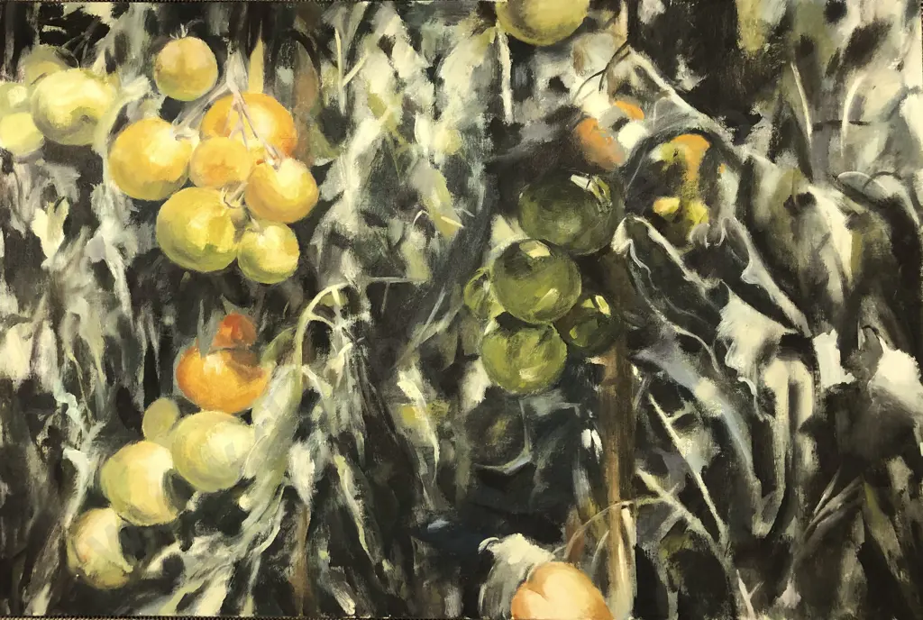 Les Finch - Tomatoes Image 1++