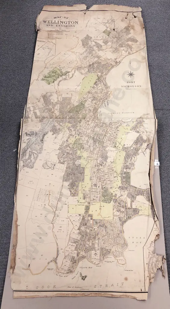 Antique Map of Wellington and Environs Image 1++