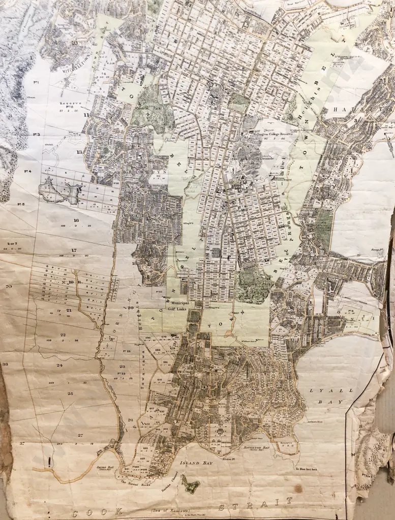 Antique Map of Wellington and Environs Image 1++