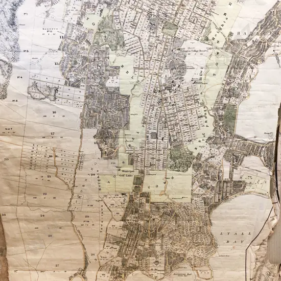 Antique Map of Wellington and Environs